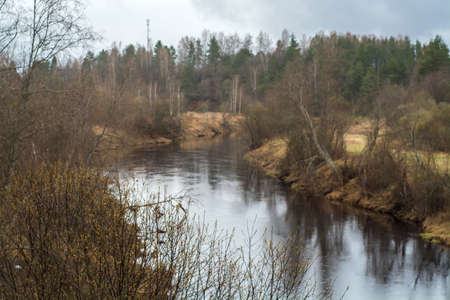 spring park, April 2021, Leningrad region, Russia
