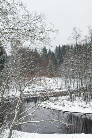 winter day, January 2021, Leningrad region, Russiaの写真素材