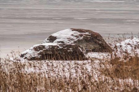 winter day, December 2020, Leningrad region, Russia