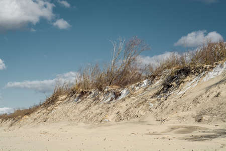 sand dunes, March 2021, Kaliningrad region, Russia