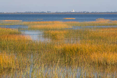 autumn bay, September 2020, Leningrad region, Russia