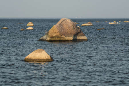 autumn bay, September 2020, Leningrad region, Russiaの写真素材