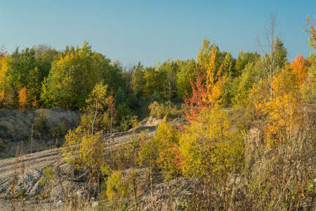 autumn park, September 2020, Leningrad region, Russiaの写真素材
