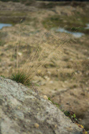 sand quarry, September 2021, Leningrad region, Russiaの写真素材