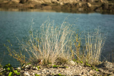 sand quarry, September 2021, Leningrad region, Russiaの写真素材