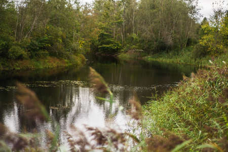 autumn river, September 2021, Leningrad region, Russiaの写真素材