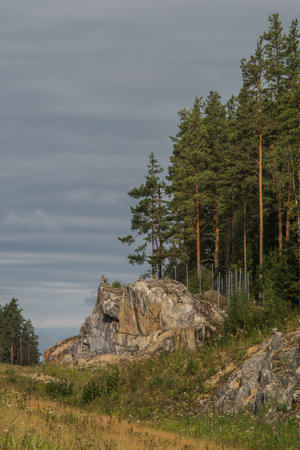 summer road, august 2022, Leningrad region, Russiaの写真素材