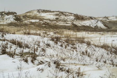 Winter landscape with snow and dry grass in the steppe, Russia