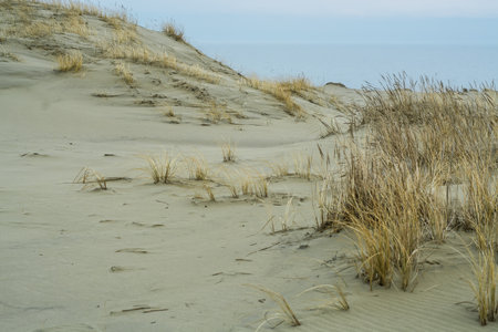 sand dunes, March 2023, Curonian Spit, Russia