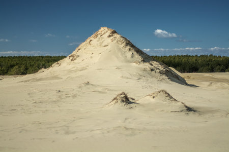 Sand dunes on the coast of the Baltic Sea in Poland.の写真素材