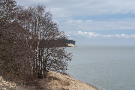 Baltic Sea coast in winter. View from the beach on the cliffs.の写真素材