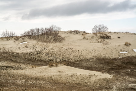 sand dunes in the early spring on a cloudy day, Russiaの写真素材