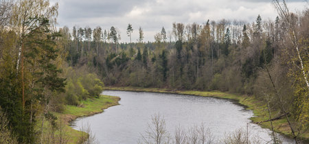 on the river, may 2024, Leningrad region, Russia