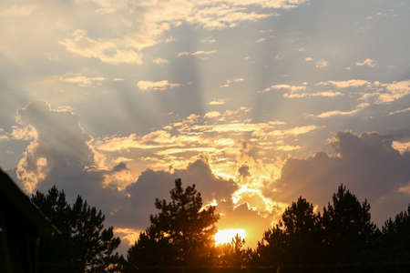 Audience with hands raised at a music festival and lights streaming down from above the stage. Soft focus, high ISO, grainy image.のeditorial素材