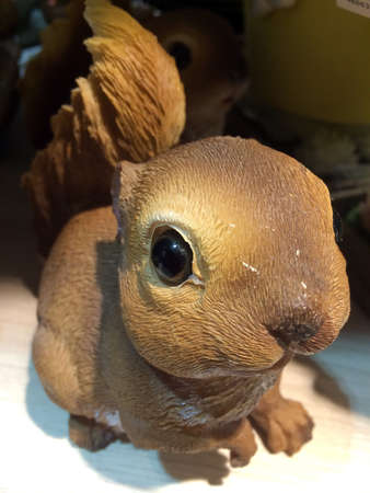 beautiful squirrel in artificial storeの写真素材