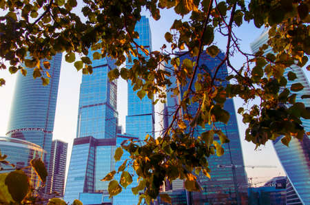Skyscrapers of Moscow at sunset in autumn.の写真素材