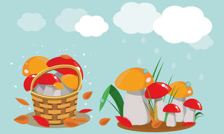 Illustration of autumn mushrooms made in vector format. Mushrooms in a basket, mushrooms growing in a meadow and white clouds on a blue background.のイラスト素材