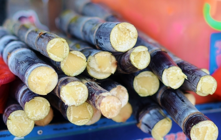 Sugarcane - street foodの写真素材