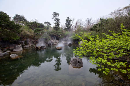 Spring forest pond in Koreaの写真素材