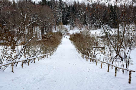 Winter landscape in Pavlovsk park. Saint Petersburgの写真素材