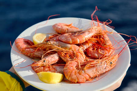 a plate with shrimps in girl hands on sea backgraundの写真素材