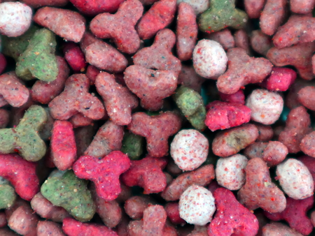 Dry cat food. The texture and background of dry food. Macro.