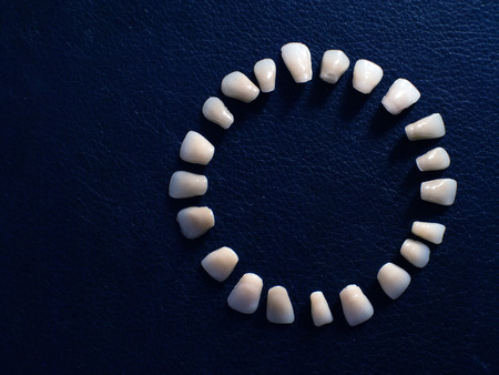 Plastic teeth on a dark background. Plastic dentures teeth.