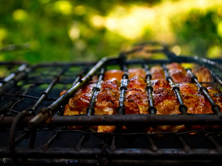 Meat on fire. Barbecue for the poor. Departure on the nature of kebabs. Roasted meat on the fire....