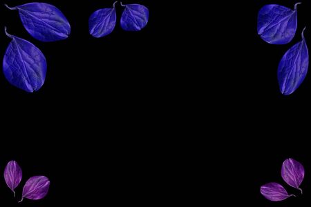 Colorful leaves on a black table. Colorful leaves in the dark. Leaves on a dark background.の写真素材