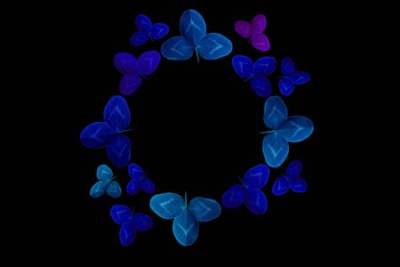 Colorful leaves on a black table. Colorful leaves in the dark. Leaves on a dark background.の写真素材