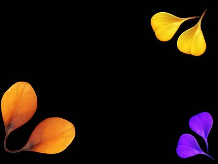 Colorful leaves on a black table. Colorful leaves in the dark. Leaves on a dark background.の写真素材