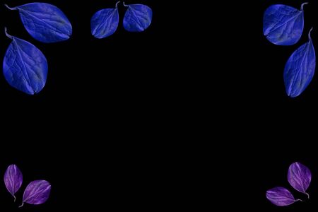 Colorful leaves on a black table. Colorful leaves in the dark. Leaves on a dark background.の写真素材