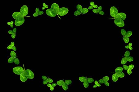 Clover frame. Clover. Green clover. Natural motifs on a dark background.の写真素材