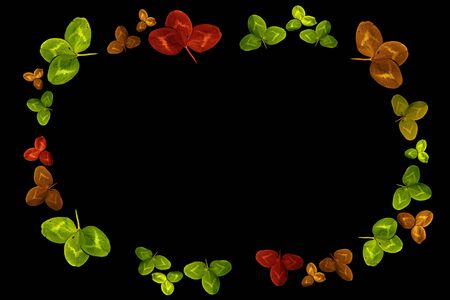 Clover frame. Green clover. Natural motifs on a dark background.の写真素材