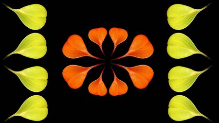 Colorful leaves on a black table. Leaves on a dark background.の写真素材
