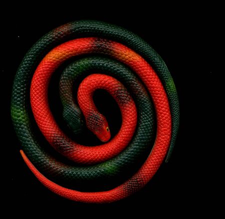 Red toy rubber snake rolled up in a ball. Colored toy snake. Rubber snake. toy snakeの写真素材
