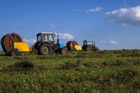 Agricultural machinery, a tractor collecting grass in a field against a blue sky. Hay harvesting,...