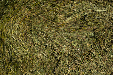 Straw bales on a field in the foreground.  Harvest of hay. Clouds in the sky. Agricultural farm. Hills with cultivated fields and hay balesの写真素材