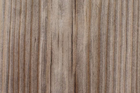 Wood - texture