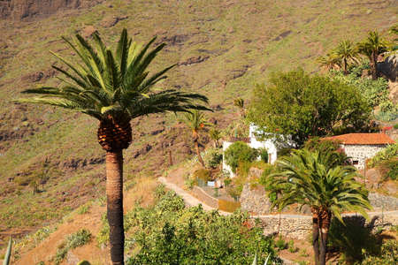 Masca village on the island of Tenerife, Canary Islands, Spainのeditorial素材