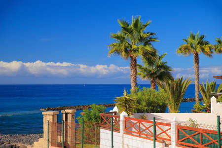 travel, vacation in the Canary Islandsの写真素材