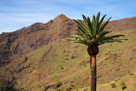 mountain landscapes of gorges maska, Canary Islandsの写真素材