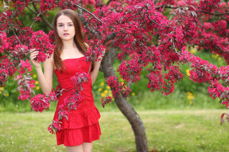 young happy woman walking in garden with apple treesの写真素材