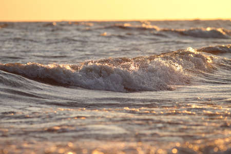 big waves of the sea during a beautiful dawn