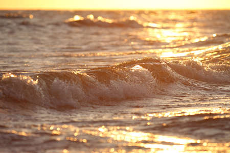 big waves of the sea during a beautiful dawn