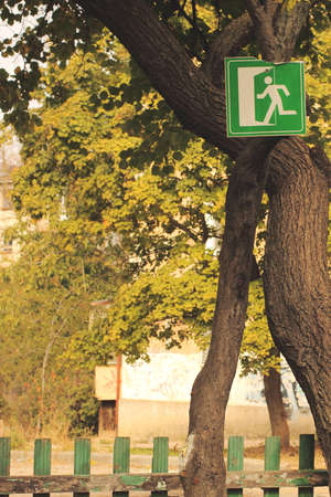 The sign hanging on the treeの写真素材
