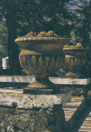 Flower pot at city park Dayの写真素材