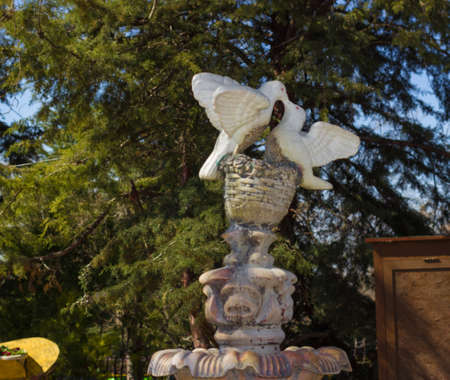 Birdhouse at city park Day Outdoorの写真素材
