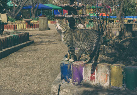 2017 Children's city park Lukomorieの写真素材