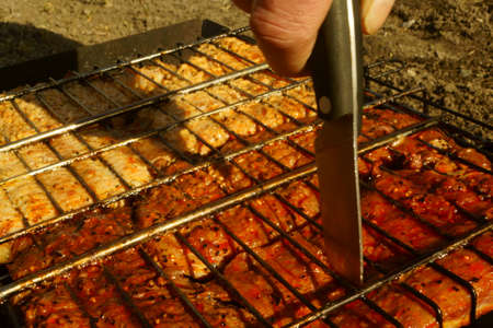 meat, fried on fireの写真素材